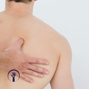 Curso de Anatomia Palpatória Clínica